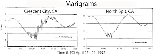 Marigrams recorded in Crescent City and Humboldt Bay for the April 25th tsunami with time along the x-axis  and water height along the y-axis