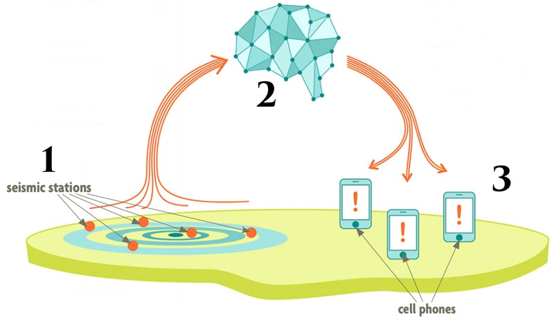 a graphic of seismic stations, connecting to a brain, connecting to cellphones