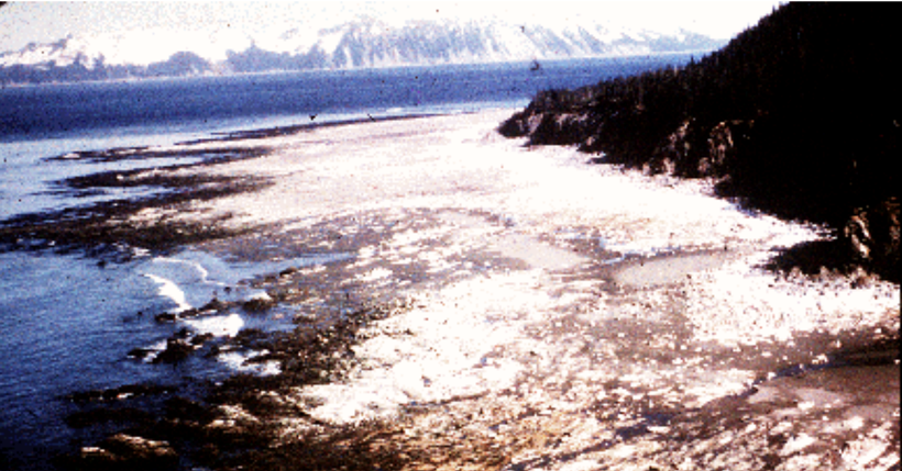 Uplift observed at Montague Island in Alaska showing areas now above sea level