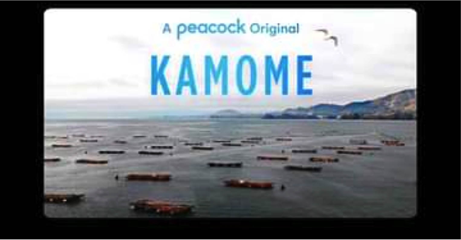 Kamome Documentary Video