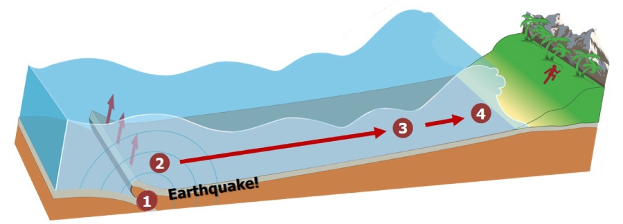 how tsunamis form animation